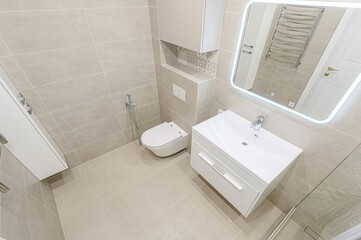 interior apartment room bathroom, sink, decorative elements, toilet