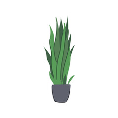 silk artificial plant cartoon vector illustration