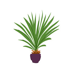 faux artificial plant cartoon vector illustration