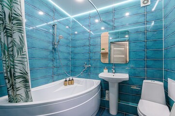 interior apartment room bathroom, sink, decorative elements, toilet