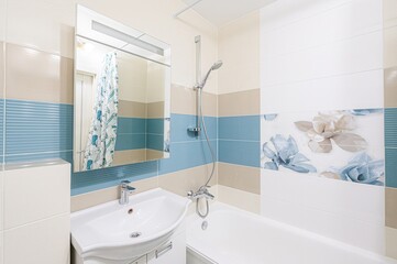 interior apartment room bathroom, sink, decorative elements, toilet