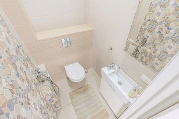 interior apartment room bathroom, sink, decorative elements, toilet