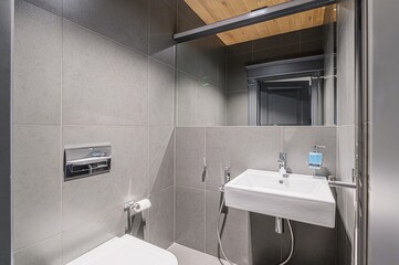 interior apartment room bathroom, sink, decorative elements, toilet