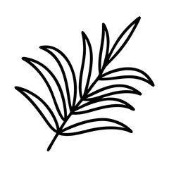 Palm leaf vector illustration, tropical plant drawing, botanical outline design element for decoration use