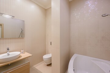 interior apartment room bathroom, sink, decorative elements, toilet