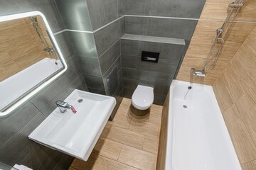interior apartment room bathroom, sink, decorative elements, toilet