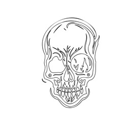 Stylized Skull Line Drawing Against White Backdrop