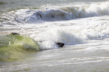 A stunning view of waves crashing onto a serene beach, capturing natures exquisite and aweinspiring...