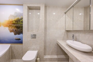 interior apartment room bathroom, sink, decorative elements, toilet