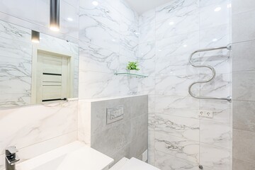 interior apartment room bathroom, sink, decorative elements, toilet