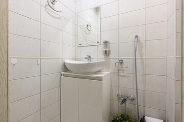 interior apartment room bathroom, sink, decorative elements, toilet