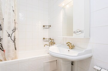 interior apartment room bathroom, sink, decorative elements, toilet