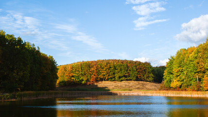 Calm autumn landscape, forest above the lake
