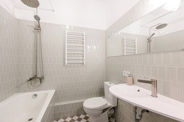 interior apartment room bathroom, sink, decorative elements, toilet