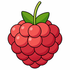 raspberry vector illustration