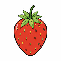 strawberry vector illustration