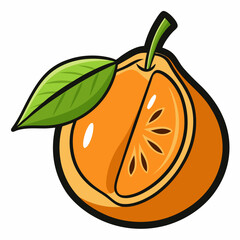 vector illustration of orange fruit