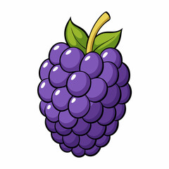 vector illustration of a raspberry
