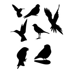 Birds silhouette illustration