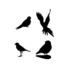Birds silhouette illustration