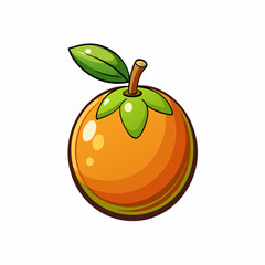 vector illustration of orange fruit