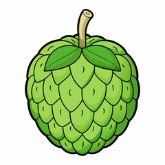 green apple isolated on white