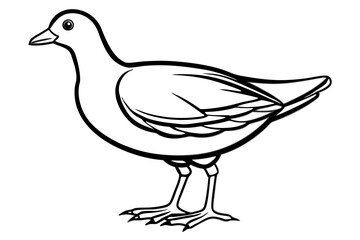 Minimalist Moorhen Vector