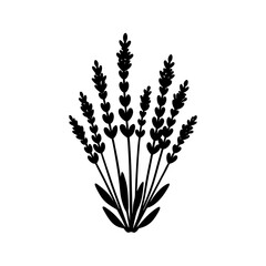 Lavender crops silhouette vector illustration
