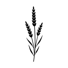 Lavender crops silhouette vector illustration