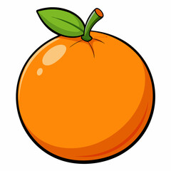 orange fruit vector illustration
