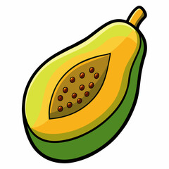 vector illustration of a fruit