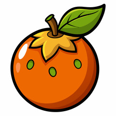 vector illustration of an orange