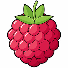 raspberry with leaf
