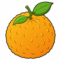 vector illustration of an orange
