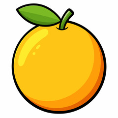 vector illustration of an orange fruit