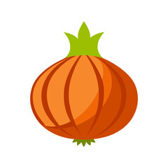 Onion vector illustration