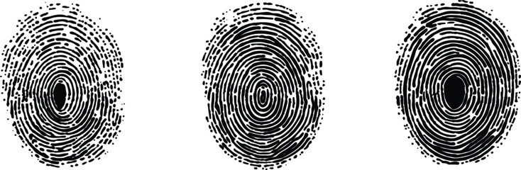 Fototapeta premium Three different fingerprints are shown, each with a different pattern on white background. Black and white fingerprint on isolated background, vector illustration, high resolution photography,