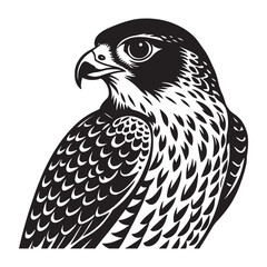 A brown raptor portrait, the eagle's sharp eye and beak prominent against the stark white