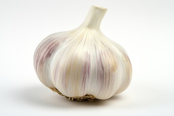 A detailed picture of a single whole garlic bulb