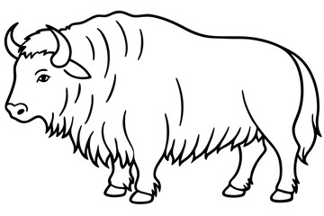 Musk Ox Outline Design