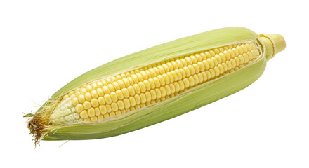 Isolated Corn on the Cob