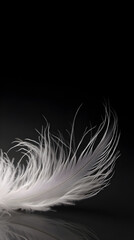 Graceful Simplicity: The Elegance of a Feather in Minimalism