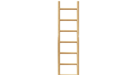 Isolated Wooden Ladder