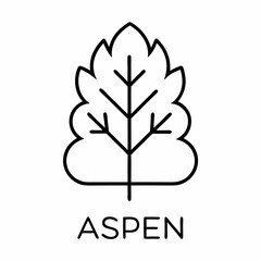 Aspen outline icon on white background