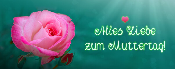 Happy Mother's Day phrase with a pink rose.