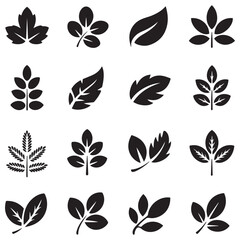 Collection of leaf icons. Vector Black silhouettes. with white background