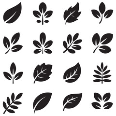 Collection of leaf icons. Vector Black silhouettes. with white background