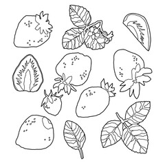 いちごの線画イラスト素材