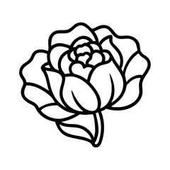 Vector line art drawing of a flower blossom illustration for design and decoration template use