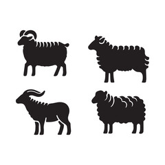 vector illustration of goat